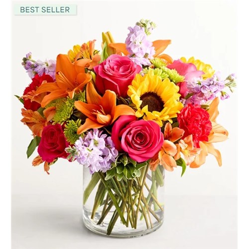 191167_XL