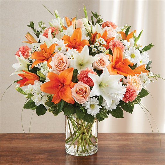 148694m_HR_fd_05_09_17